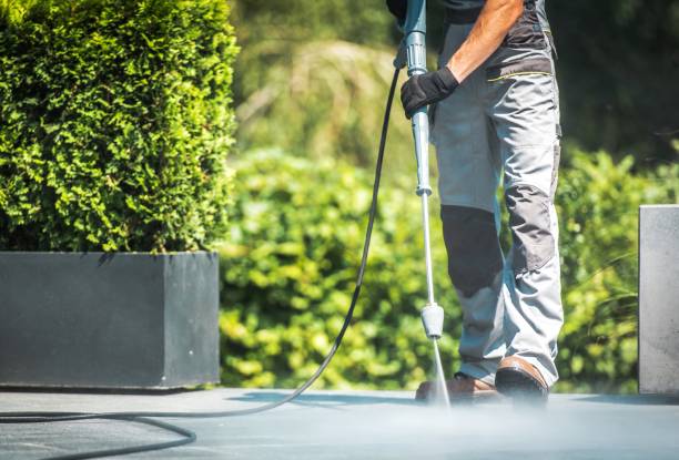 Best Roof Washing  in Union, NJ